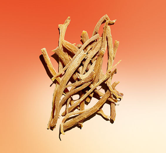 Ginseng-Ginseng-Extrakt-Panax ginseng root extract