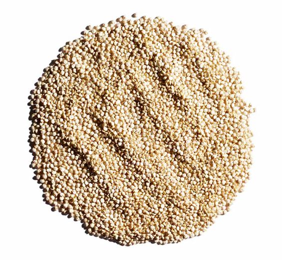 Quinoa-Biologischer Quinoa-Extrakt-Chenopodium quinoa seed extract